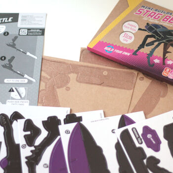 Build Your Own Personalised Stag Beetle Kit, 6 of 9