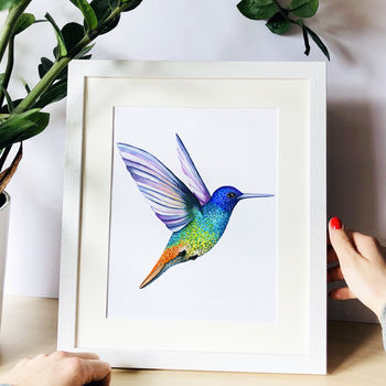 Golden Tailed Sapphire Hummingbird Print, 7 of 9