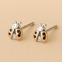 Girls Sterling Silver Diamond Ladybird Stud Earrings, thumbnail 1 of 4