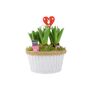 Christmas Hyacinth Bowl – 5 Festive Fragrant Bulbs, thumbnail 4 of 8