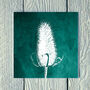 Teasel Winter Seed Head Greetings Card, thumbnail 1 of 2