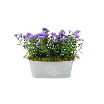 Purple Asters In Decorative White Floral Trough, 3 of 3