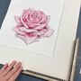 Rose Painting, Rose Art, Watercolour Rose, 'Susan', thumbnail 4 of 4