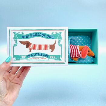 Personalised Mini Dachshund In Matchbox Bed, 2 of 5