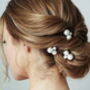 Swarovski Cluster Pearl Hairpins Set Perla, thumbnail 1 of 4