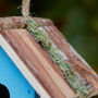 Personalised Blue Lagoon Bird House, thumbnail 5 of 10