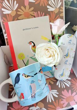 Bird Design Gift Set, 2 of 5