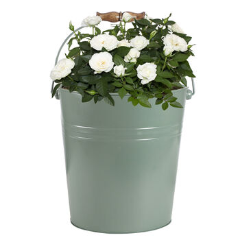 Personalised Large Green Planter Bucket, 2 of 6