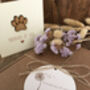 Pet Sympathy Gift Box With Bereavement Card, thumbnail 2 of 10