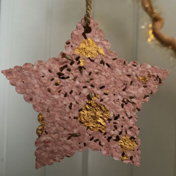 Scalloped Star Seedpaper Christmas Tree Decorations, 2 of 7