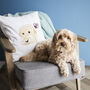 Personalised Pet Embroidered Cushion Cover, thumbnail 2 of 5