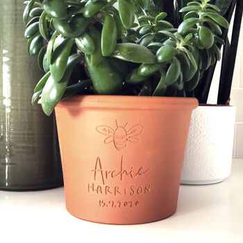 Engraved Butterfly Plant Pot, 2 of 8