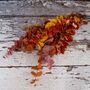 Autumn Eucalyptus Stems, thumbnail 1 of 2