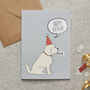 Apricot Cockapoo / Labradoodle Organic Cotton Tea Towel, thumbnail 9 of 12
