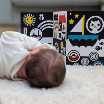 Story Shuffle: Newborn Sensory, 5 of 5