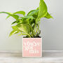'You've Got This' Positivity Plant Pot And Houseplant, thumbnail 5 of 7