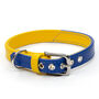 Multi Coloured Leather Dog Collar Dandy Duo, thumbnail 6 of 7