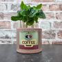 Retro Coffee Houseplant Pot Gift Surprise Plant, thumbnail 8 of 10