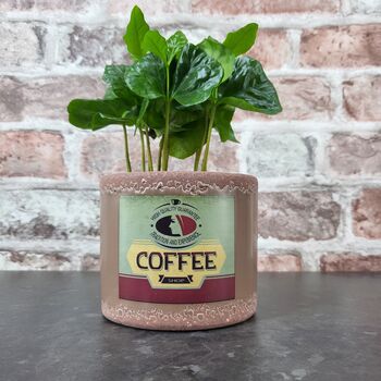 Retro Coffee Houseplant Pot Gift Surprise Plant, 8 of 10