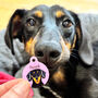 Dachshund Dog Name ID Tag Personalised, thumbnail 1 of 12