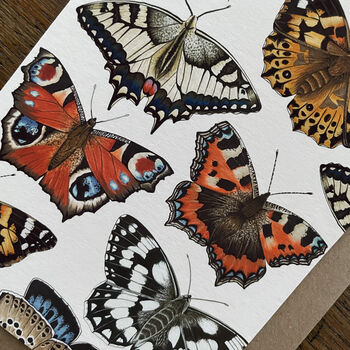 Illustrated Butterfly Greeting Card Blank Inside, 3 of 6