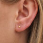 Sterling Silver Gold Champagne Freshwater Pearl Micro Stud Earrings, thumbnail 1 of 4