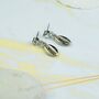 Silver Plated Cowrie Sea Shell Zircon Stud Earrings, thumbnail 3 of 6