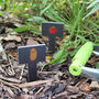 Printed Fruit And Veg Slate Plant Markers, thumbnail 2 of 7