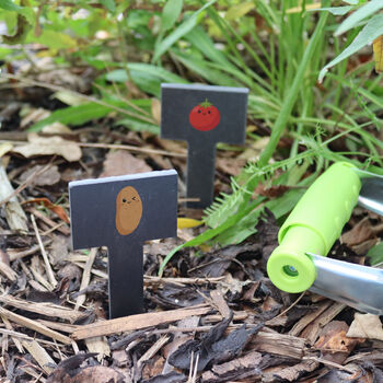 Printed Fruit And Veg Slate Plant Markers, 2 of 7