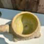 22cm Turtle Plant Pot Distressed Beige Stone Flower Holder Planter, thumbnail 7 of 7