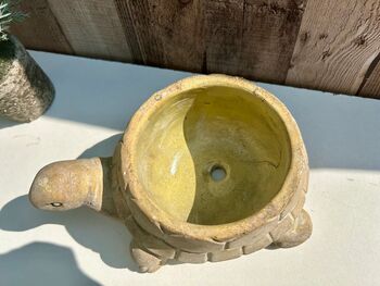 22cm Turtle Plant Pot Distressed Beige Stone Flower Holder Planter, 7 of 7