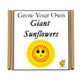 Gardening Gift For Her. Grow Your Own Giant Sunflower, thumbnail 4 of 4