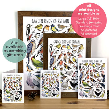 Garden Birds Of Britain Art Blank Greeting Card, 3 of 11