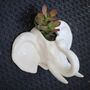 Elephant Wall Hanging Planter With Choice Of Plant, thumbnail 2 of 5