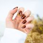 Loste Reusable Press On Nails: Old Money, thumbnail 3 of 4