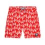 Father And Son Matching Turtle Print Swim Shorts, thumbnail 6 of 8