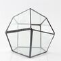 Four Surfaces Diamond Glass Geometric Plants Terrarium, thumbnail 6 of 7