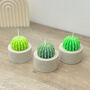 Round Barrel Cactus Candles Saguaro Cacti Candle Gift, thumbnail 3 of 10