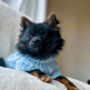 Powder Blue/Peppermint Cosy Knit Dog Jumper, thumbnail 2 of 12