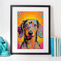 Colourful Dachshund Portrait Illustration Print, thumbnail 1 of 3