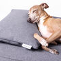 Anti Microbial Memory Foam Dog Bed Mattress And Feather Bolster Pad, thumbnail 5 of 10