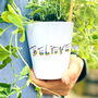 Personalised Rainbow Letter Plant Pot With Seeds, thumbnail 3 of 5