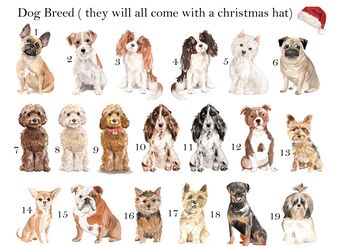 70+ Dog Breed Dog Christmas Sack, 4 of 7
