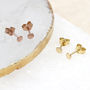 Contemporary Silver Or Gold Plated Dot Stud Earrings, thumbnail 3 of 7
