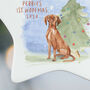 Dog Christmas Tree Decoration Personalised, thumbnail 5 of 8