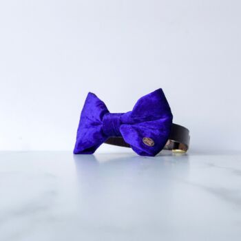 Party Luxe Velvet Dog Bow Ties, 10 of 12