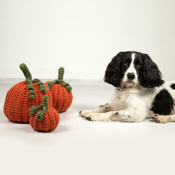 Pumpkin Trio Crochet Kit, 3 of 10