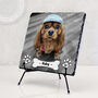 Personalised Dog Photo Slate Gift With Professional Photo Editing For Dog Mums And Dads, thumbnail 1 of 6