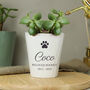 Personalised Paw Print Plant Pot, thumbnail 2 of 3