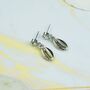 Silver Plated Cowrie Sea Shell Zircon Stud Earrings, thumbnail 4 of 6